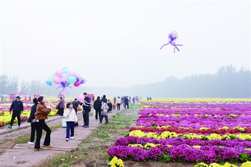 一场集赏花、赶集、品文化于一体的乡村盛宴正式拉开帷幕